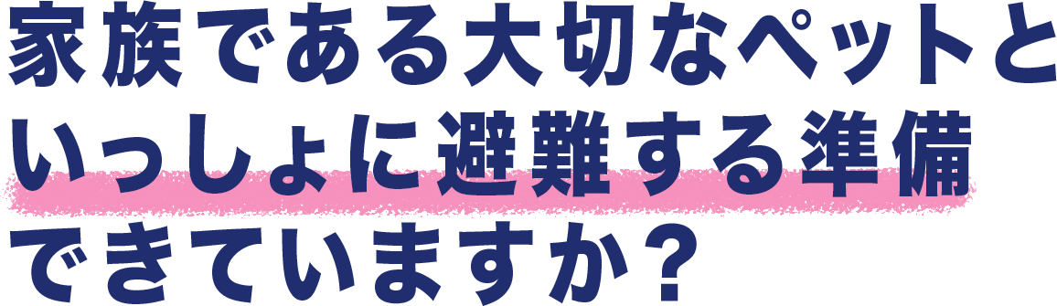 アピール1