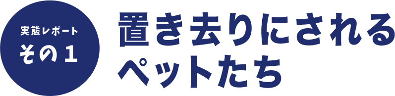 置き去りにされるぺットたち