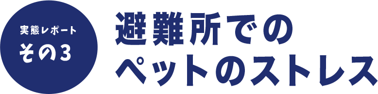 避難所でのペットのストレス