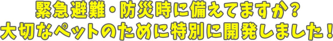 防災時に備えてますか?