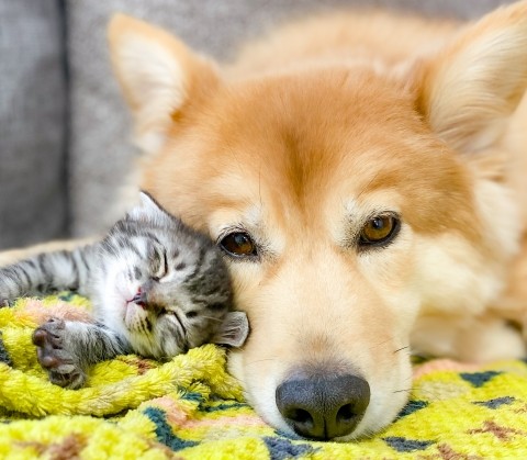 キービジュアル