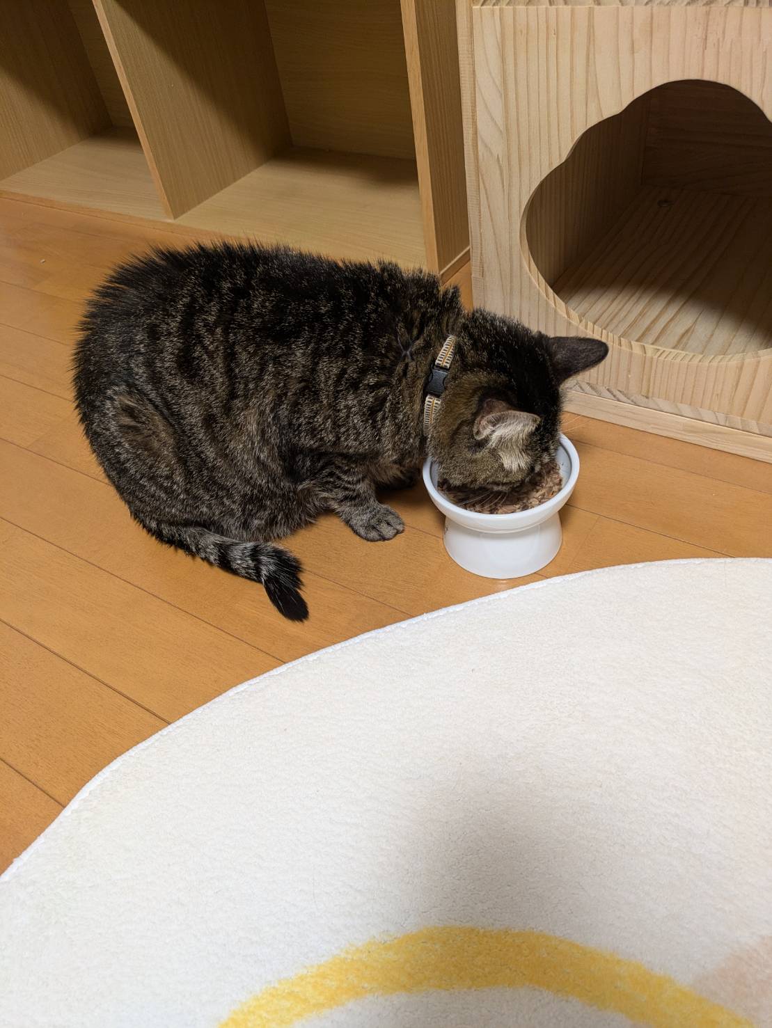 キービジュアル